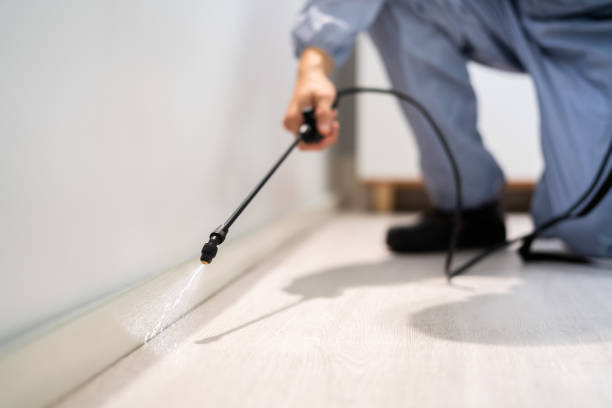 Licensed Pest Control service in Lakeshore, LA - Show Me Pest Control