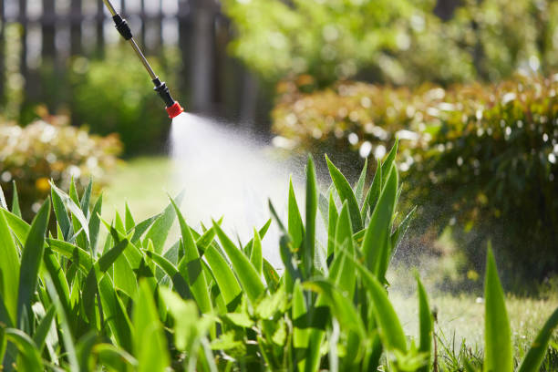Tamper-Resistant Bait Stations for Rodents in Lakeshore