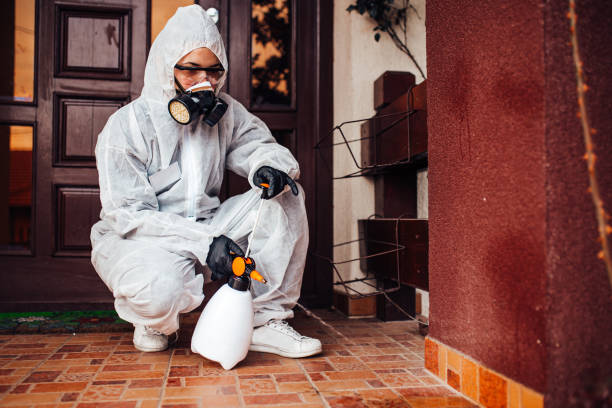 Attic and Crawl Space Rodent Treatment in Lakeshore