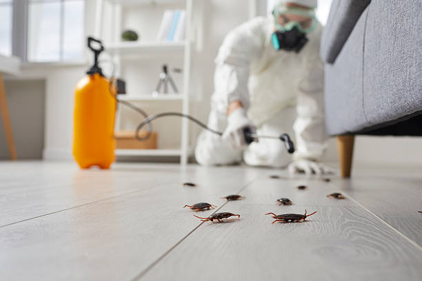 Commercial Rodent Management in Lakeshore